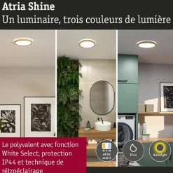 Panneau LED Atria Shine White Select IP44 rond 298mm 14,8W 2250lm 3000 - 6500K Esthétique bois