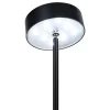 Piquet solaire decoratif LAUPHEIM 56 cm metal noir style moderne LED interrupteur a curseur D: 10 cm