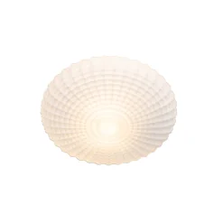 Plafonnier classique noir avec verre opale 35 cm IP44 - Nohmi