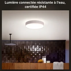 Plafonnier connecté dimmable Bluetooth Philips Hue IP44 Circulaire 2450lm 19,2W blanc