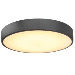 Plafonnier de salle de bain Wapta LED intégrée 1200lm 12W IP44 Ø28,3cm blanc froid & blanc chaud GoodHome noir
