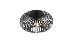 Plafonnier design, Lampe de plafond Johann 30 cm, TRIO