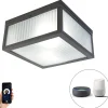 Plafonnier d'extérieur intelligent noir avec verre nervuré, Wi-Fi A60 inclus - Charlois