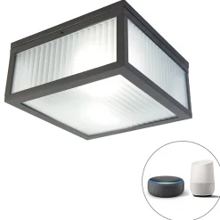 Plafonnier d'extérieur intelligent noir avec verre nervuré, Wi-Fi A60 inclus - Charlois
