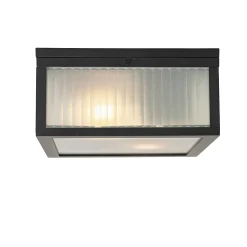 Plafonnier d'extérieur noir avec verre nervuré 2 lumières IP44 - Charlois