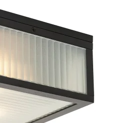 Plafonnier d'extérieur noir avec verre nervuré 2 lumières IP44 - Charlois