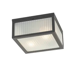 Plafonnier d'extérieur noir avec verre nervuré 2 lumières IP44 - Charlois