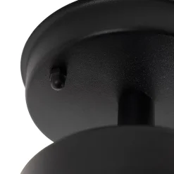 Plafonnier d'extérieur rustique noir avec verre IP44 - Elza