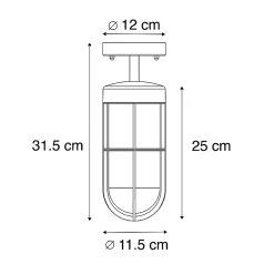 Plafonnier d'extérieur rustique noir avec verre IP44 - Elza