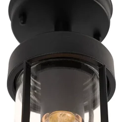 Plafonnier d'extérieur rustique noir avec verre IP44 - Elza