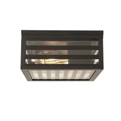 Plafonnier extérieur moderne en verre noir 2 lumières IP44 - Reims