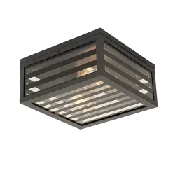 Plafonnier extérieur moderne en verre noir 2 lumières IP44 - Reims