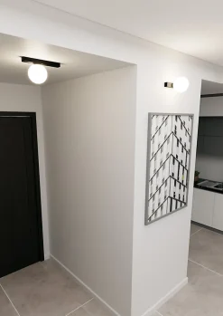 Plafonnier FIT 1 BLACK/OPAL, Emibig Lighting, Fabriqué en EU