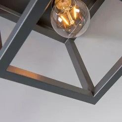 Plafonnier industriel gris foncé - Cage