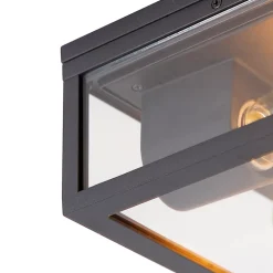 Plafonnier industriel noir IP44 2 lumières - Charlois