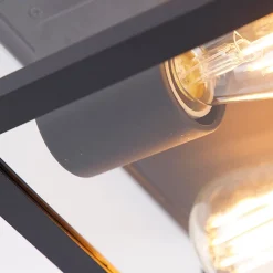 Plafonnier intelligent noir IP44 2 lumières avec Wifi ST64 - Charlois