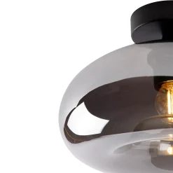 Plafonnier intelligent noir avec verre fumé, WiFi inclus - Busa