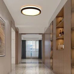 Plafonnier LED NETTLIFE salon 30CM Dimmable avec télécommande Plafonnier moderne couloir