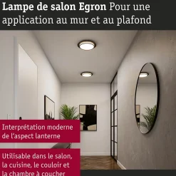 Plafonnier LED 3-Step-Dim Egron 2700K 750lm 230V 16W gradable Noir mat