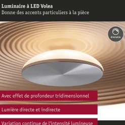 Plafonnier LED Volea IP44 3000K 1300lm / 0lm 230V 4W / 18,5W gradable Noir Doré