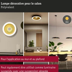 Plafonnier LED Volea IP44 3000K 1300lm / 0lm 230V 4W / 18,5W gradable Noir Doré