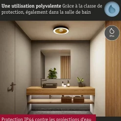 Plafonnier LED Volea IP44 3000K 1300lm / 0lm 230V 4W / 18,5W gradable Noir Doré