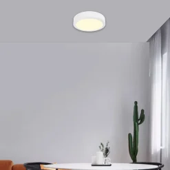 Plafonnier LED 18W blanc Ø22,8 x H.4cm Boxelder