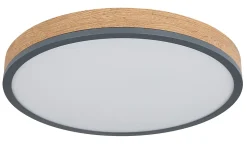 Plafonnier métal graphite, LED DORO