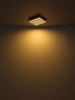 Plafonnier métal noir mat, LED HAYDEN