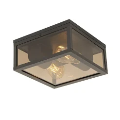 Plafonnier noir avec verre fumé 2 lumières IP44 - Charlois