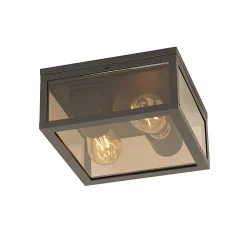 Plafonnier noir avec verre fumé 2 lumières IP44 - Charlois
