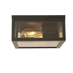 Plafonnier noir avec verre fumé 2 lumières IP44 - Charlois