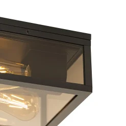 Plafonnier noir avec verre fumé 2 lumières IP44 - Charlois