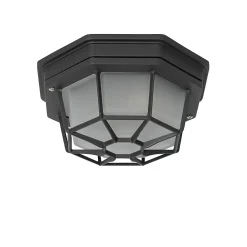 Plafonnier rustique gris foncé 21,3 cm IP44 - Bri