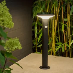 Potelet extérieur solaire LED intégrée Cowhorn noir 650 lm IP44 GoodHome