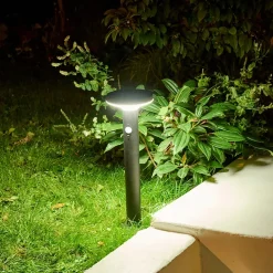 Potelet extérieur solaire LED intégrée Cowhorn noir 650 lm IP44 GoodHome