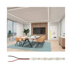 Pro Strip Strip LED Or P150 940 5m 62W 1600lm/m 160 LEDs/m 4000K