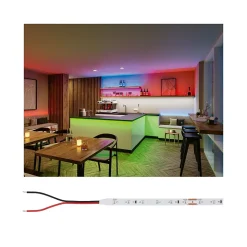 Pro Strip Strip LED Silver P25 LED rouge 5m 20W 80lm/m 60 LEDs/m