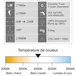 Projecteur LED 30W/IP65/2550lm/4000K connexion direct - sans câble - garantie 5 ans