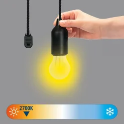 RETRO : Lampe à filament LED avec interrupteur à cordon - Lumière chaude