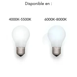 Réglette LED 90cm 36W (Pack de 10) - Blanc Froid 6000K - 8000K - SILAMP