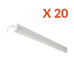 Réglette LED étanche 120cm 36W IP65 (Pack de 20) - Blanc Froid 6000K - 8000K - SILAMP