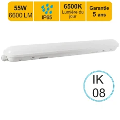 Réglette LED étanche 1500mm 55W 6600 LM 6500K IP65 - traversant - garantie 5 ans
