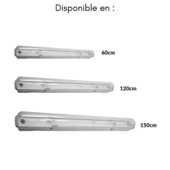 Réglette LED étanche pour Tube LED T8 120cm IP65 (Pack de 12) - SILAMP