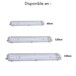 Réglette étanche double pour Tube LED T8 150cm IP65 (Boitier vide) (Pack de 10) - SILAMP