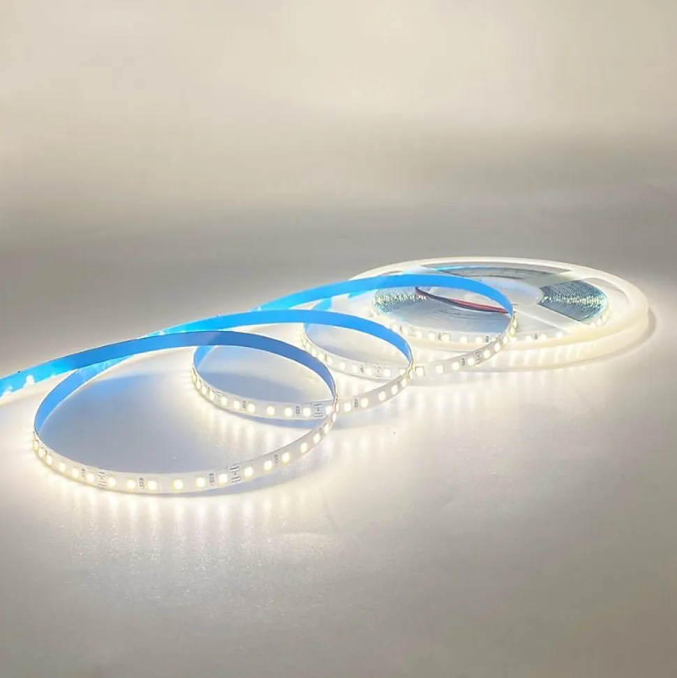 Ruban LED 10M 24V 12W/M SMD2835 IP20 1400LED - Blanc Froid 6000K - 8000K - SILAMP