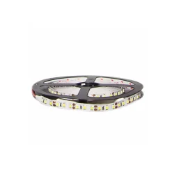 Ruban LED 12V 5M 2835 IP20 120LED/m - Blanc Froid 6000K - 8000K - SILAMP