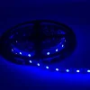 Ruban LED 12V 5M BLEU IP54 SMD 2835 60LED/m - SILAMP