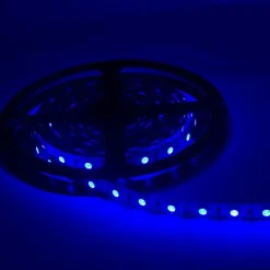 Ruban LED 12V 5M BLEU IP54 SMD 2835 60LED/m - SILAMP