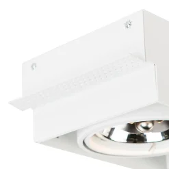 Spot encastré blanc orientable et inclinable AR111 sans bordure 2 lumières - Oneon